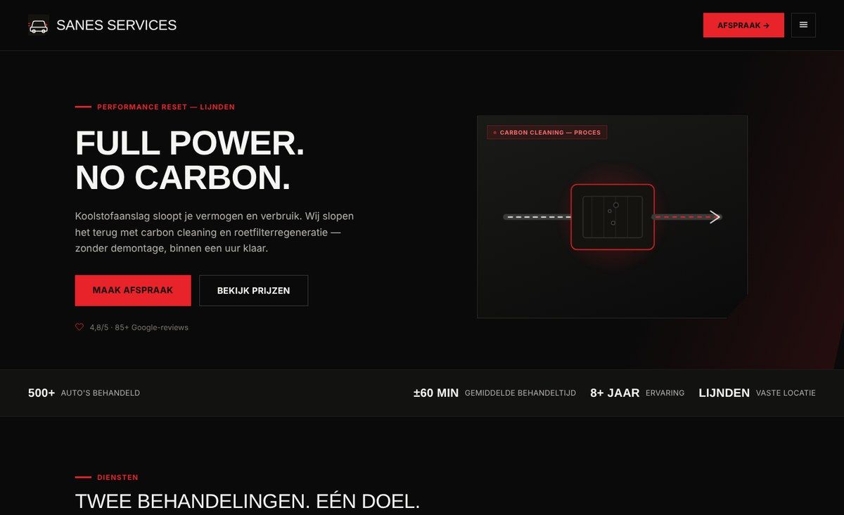 Sanes Services website